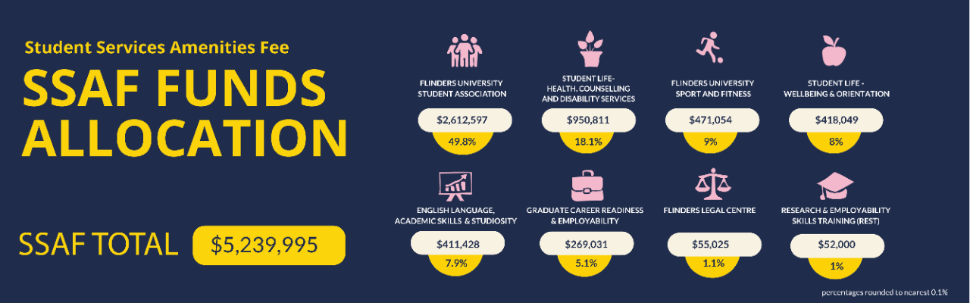 ssaf-allocation-2025.png